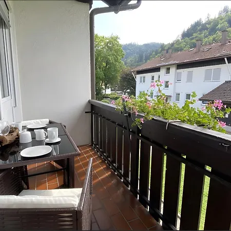 Appartement Fewo A6 Mit Sauna Und Fitnessraum Oberaudorf